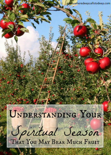 Understanding Your Spiritual Season – Bear Much Fruit – Where Deep ...